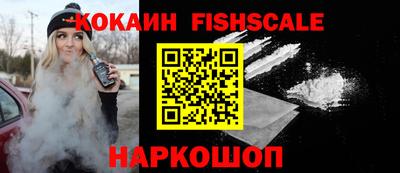 бошки Кингисепп