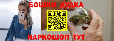 бошки Кингисепп
