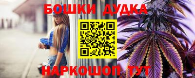 бошки Кингисепп