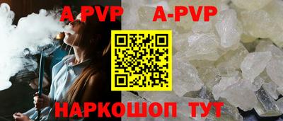 бошки Кингисепп