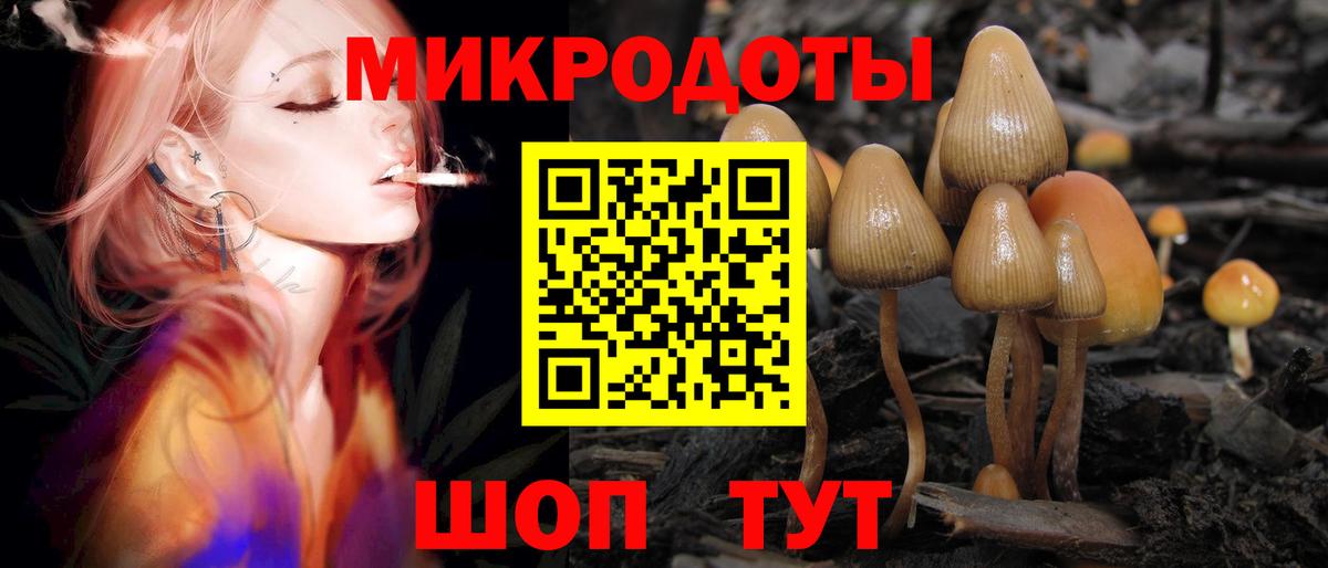 Балтийск  Псилоцибиновые грибы прущие грибы  Вход с VPN 