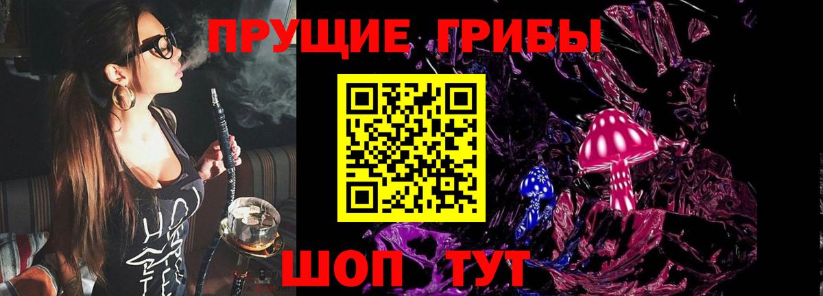 Галлюциногенные грибы прущие грибы Балтийск